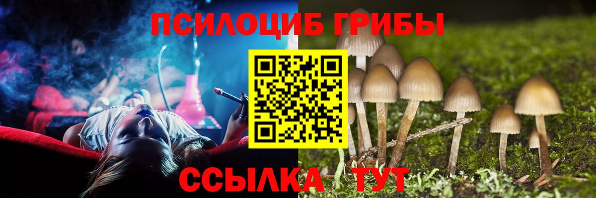 Галлюциногенные грибы GOLDEN TEACHER  Вход с VPN  Псилоцибиновые грибы Psilocybine cubensis  Назарово 